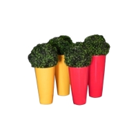 Conjunto de vasos